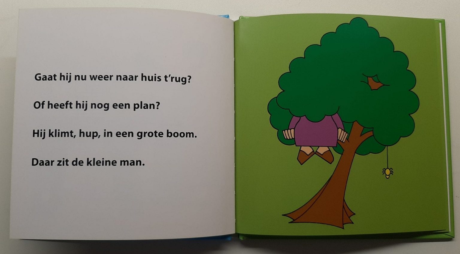 B-Boekjes Verschillende Titels - Samuel Advies