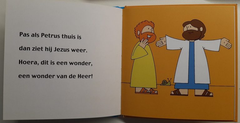 B-Boekjes Verschillende Titels - Samuel Advies