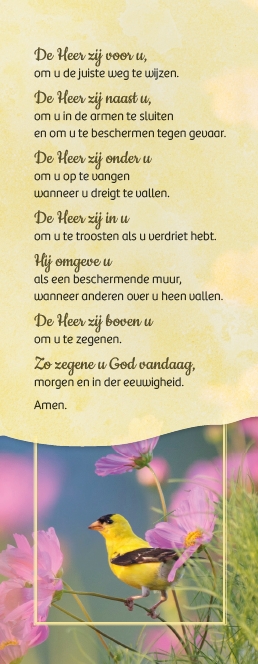 Boekenlegger Zegen St Patrick