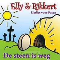 cd De steen is weg