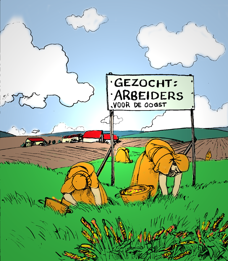 14e Zondag door het jaar C - Vertelplaat