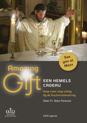 dvd Amazing Gift - een hemels cadeau