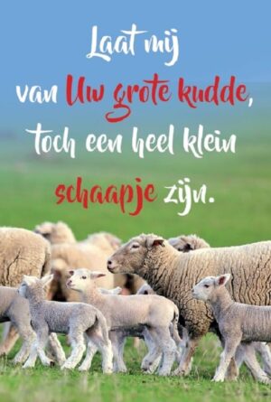 minikaartje 'Laat mij van uw grote kudde...'