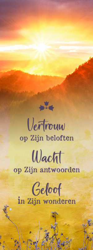 Boekenlegger - Vertrouw op Zijn beloften