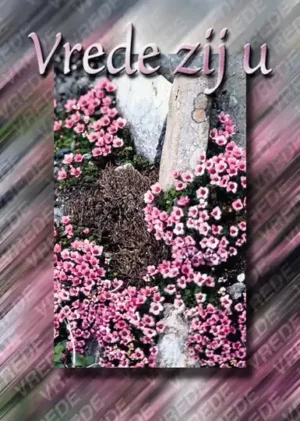 Dubbele kaart - Vrede zij u